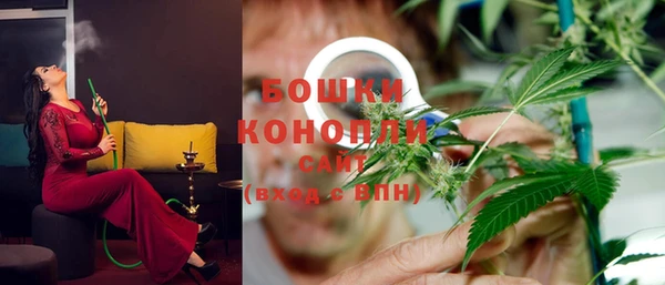 PSILOCYBIN Мегион