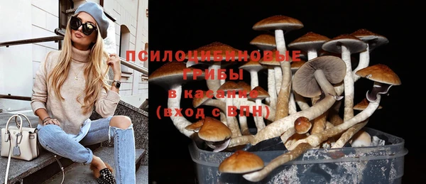 эйфоретик Медвежьегорск