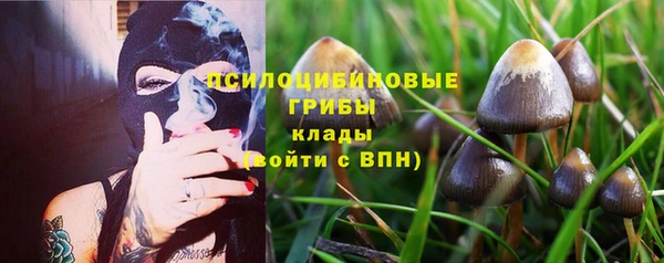 ешки Весьегонск