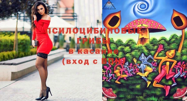 прущая мука Болхов