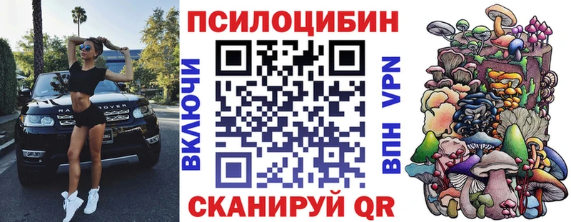 купить   Северо-Курильск  Псилоцибиновые грибы MAGIC MUSHROOMS 