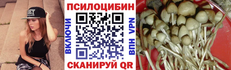 Псилоцибиновые грибы Cubensis Северо-Курильск